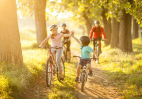 Happy family cycling in the park on a bright sunny day